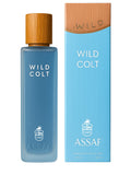 Wild colt